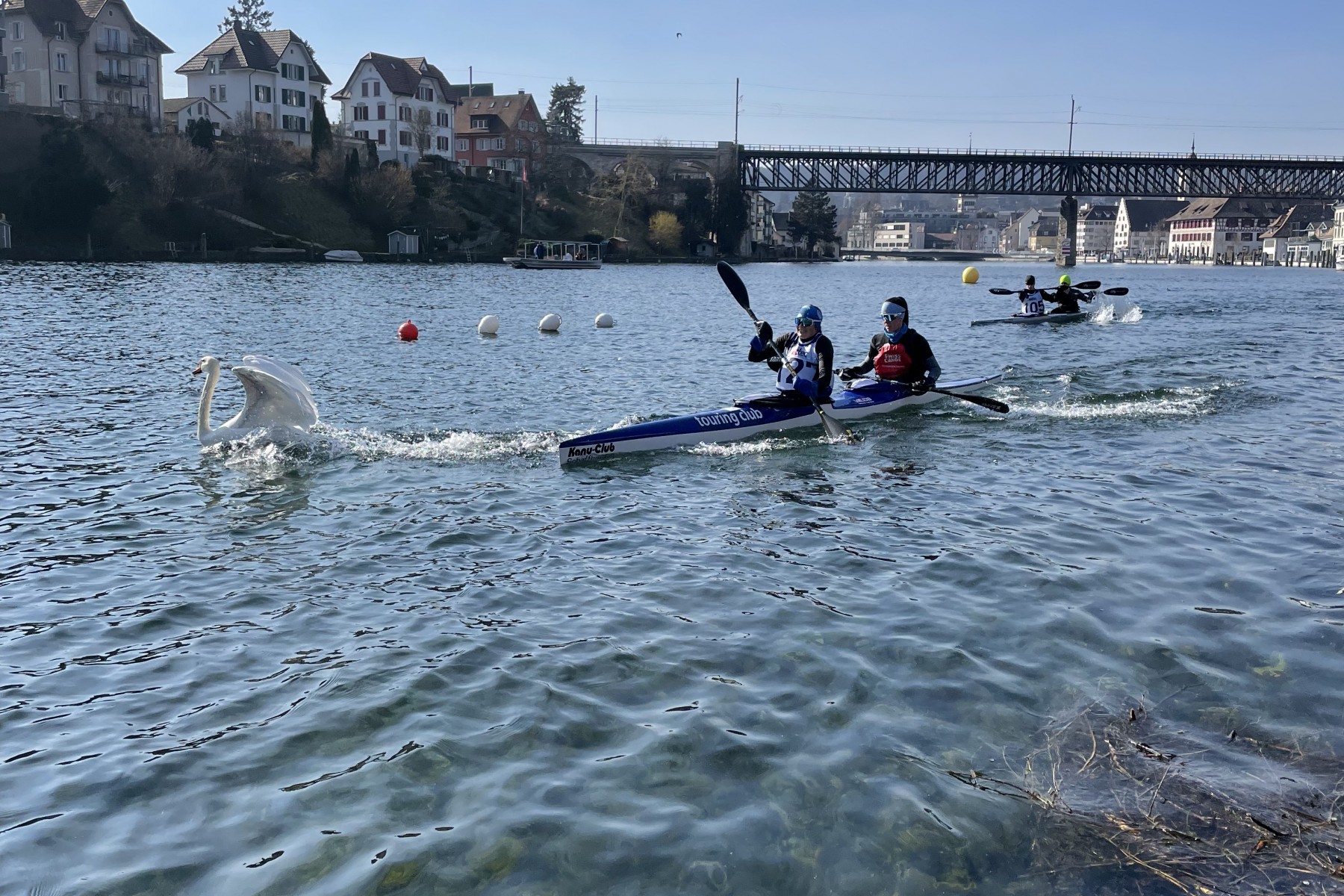 Hannah und Nora gegen den Schwan